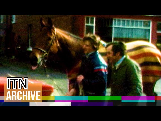 Red Rum Returns Home a Hero After Third Grand National Win (1977)
