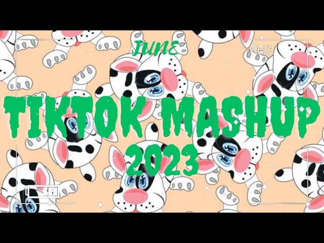 TikTok Mashup 2023 (Not Clean)