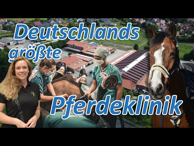 Deutschlands größte Pferdeklinik stellt sich Ariane Telgen - Mit 3 Pferden in die Pferdeorthopädie