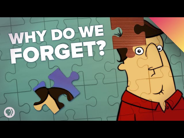 How Your Memory Works