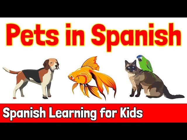 Pets in Spanish | Spanish Learning for Kids