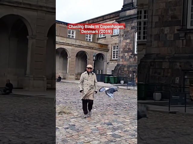 VAD's Travel Diary: Chasing Pigeons at the Amalienborg Royal Palace, Copenhagen, Denmark (2019)