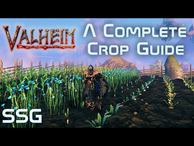 Valheim A Complete Crop Guide