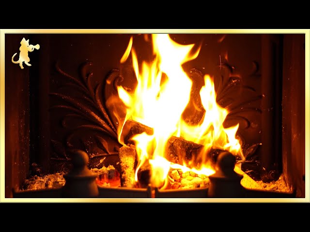12 HOURS of Warm COZY Fireplace! ~ Burning Logs and Crackling Fire Sounds (NO MUSIC) 🔥