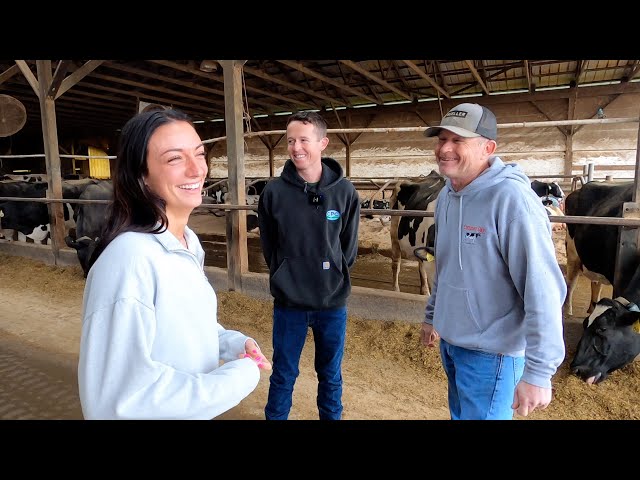Farm to Fridge: Compton Dairy Farm Walkthrough