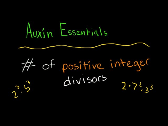 Finding the Number of Positive Integer Divisors - Auxin Essentials