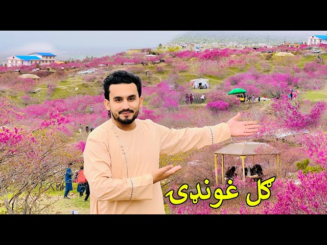 Gul Ghondi Afghanistan | Eid 2024 | د پروان ګل غونډۍ میله