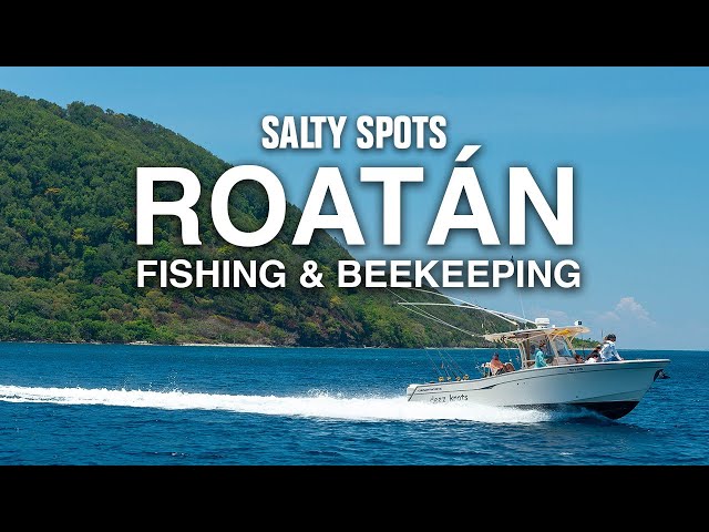 Tuna Fishing & Beekeeping in Roatán Honduras | Salty Spots
