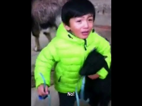 Kids who don't want to eat animals