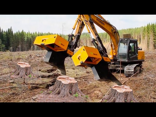 Dangerous Fastest Long Reach Excavator Cutting Tree, Biggest Chainsaw Felling Tree Skill Working