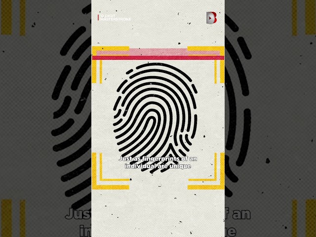 Fingerprints fading? Iris scans to the rescue! | #Aadhaar #Documentary #DocuBayOriginal #India