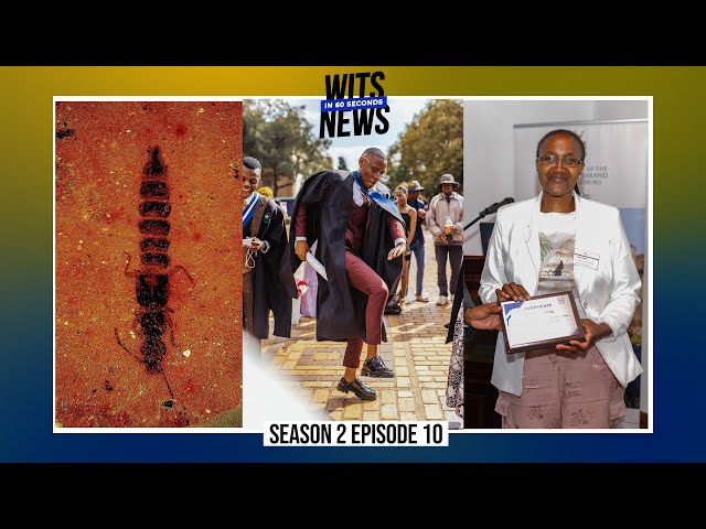 Wits in 60 Seconds | Season 2 | Episode 10: Your weekly Wits News digest