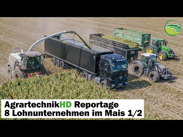 Chopping maize report 1/2 | 10 forage harvester from John Deere, Claas, New Holland