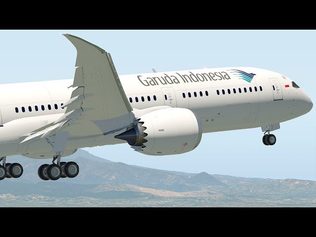 Boeing 787 Beautiful landing | X-Plane 11