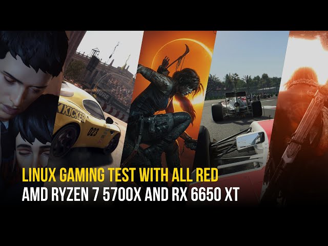 AMD Radeon RX 6650 XT Linux Gaming Performance | Benchmarking Native Games on My Library