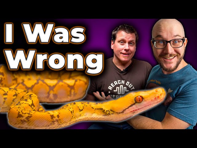 I Was WRONG About Reticulated Pythons | Why Super Dwarf Retics Are King! With @ReachOutReptiles