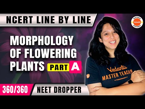 MORPHOLOGY OF FLOWERING PLANTS | Playlists | NEET 2024 DROPPER | Vani Ma'am | Vedantu Biotonic