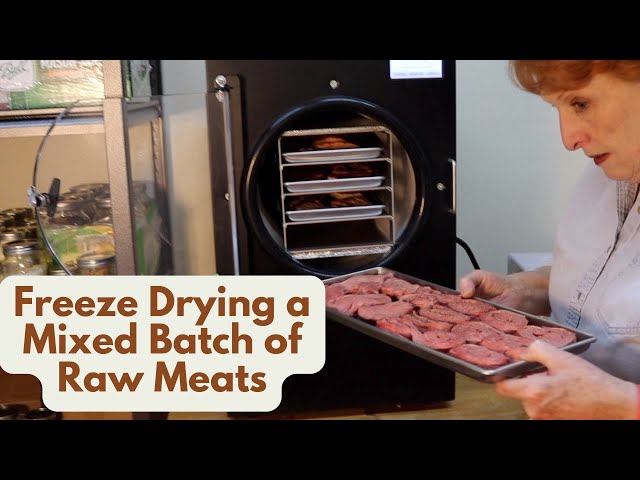 Freeze Drying a Mixed Batch of Raw Meats
