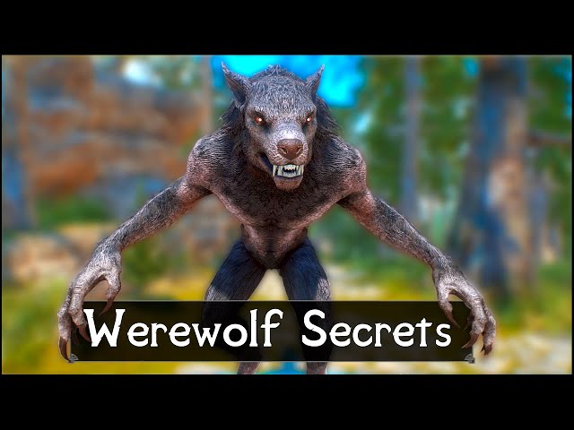Skyrim: 5 Things They Never Told You About Werewolves