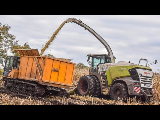 Morooka Dumper and Claas Jaguar harvester chopping maize in the mud
