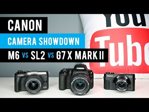 Canon M6 vs SL2 vs G7 X Mark II - Camera Showdown