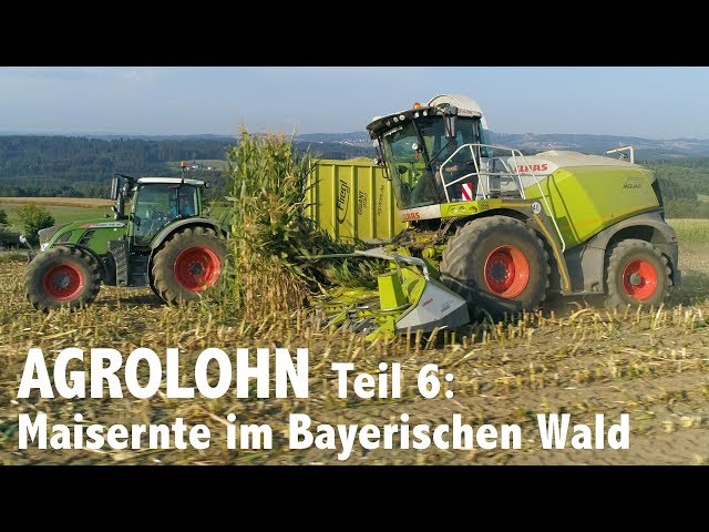 Lohnunternehmen Agrolohn: Maisernte im Bayerischen Wald
