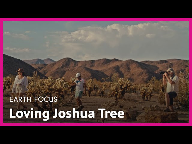 Loving Joshua Tree | Earth Focus | Season 5, Episode 4 | PBS SoCal