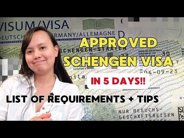 Secrets to Schengen Visa Success: Client's Approved Application, Document Details, and Tips!