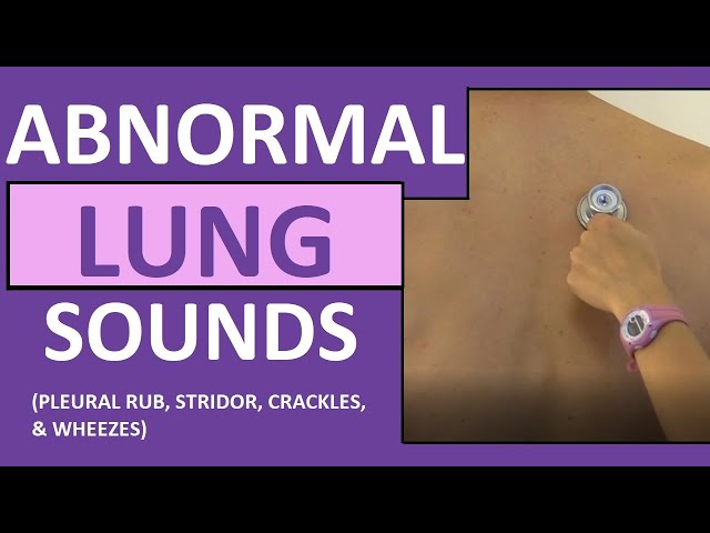 Lung Sounds (Abnormal) Crackles (Rales) Wheezes (Rhonchi) Stridor Pleural Friction Rub Breath Sounds