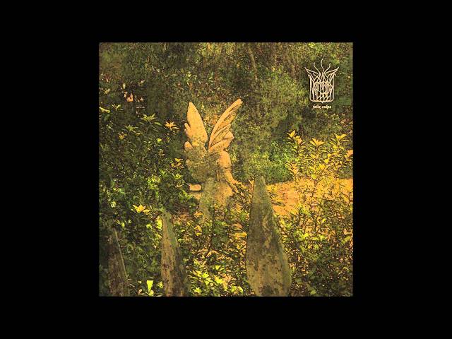 Dalla Nebbia - Felix Culpa (Full Album)