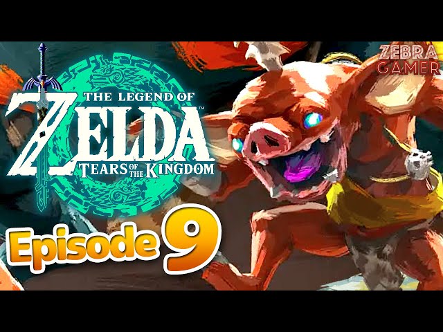 The Legend of Zelda: Tears of the Kingdom Gameplay Part 9 - Exploring Hyrule! Completing Shrines!