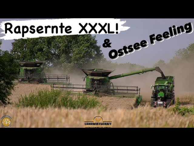Rapsernte XXXL & Ostsee Feeling! 3 Großmähdrescher auf dem 220ha Feld - Raps dreschen Landwirtschaft
