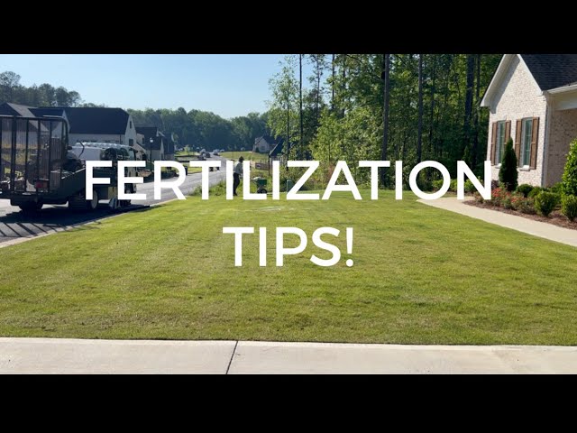 Getting through Spring Rush/April with fertilization tips!