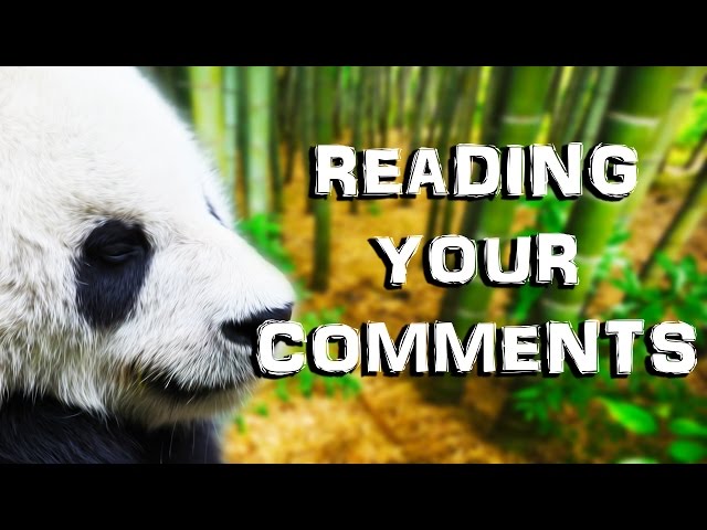 PANDA IS LOVE, PANDA IS LIFE | Reading Your Comments #31