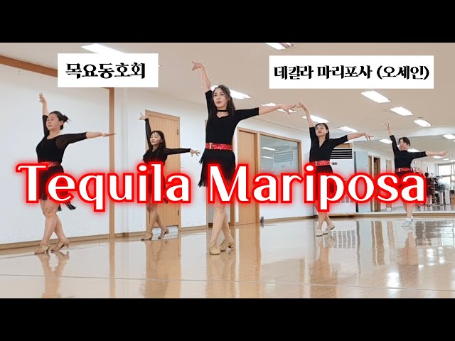 Tequila Mariposa (데킬라 마리포사) - Linedance (High Beginner Level) 목요동호회 / 라인댄스배우는곳 / 제이제이라인댄스