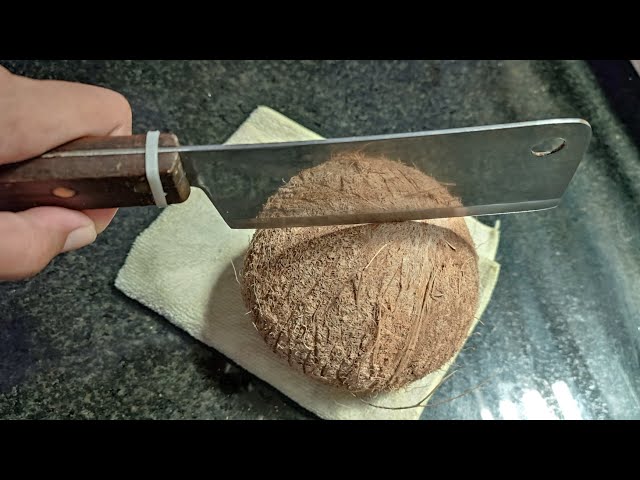 Coconut Mastery: Easy Method for Perfect Pulp Extraction!