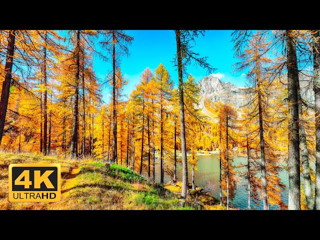 4 HRS Incredible Fall Foliage - Best 4K Autumn Nature Scenes from Around the World + Calming Music