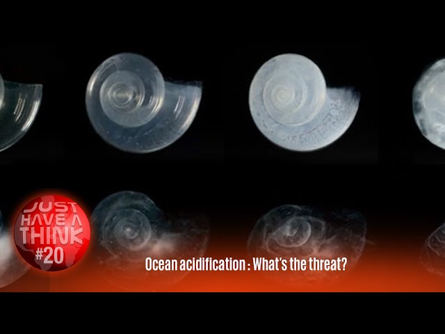 Ocean Acidification : What's the threat?