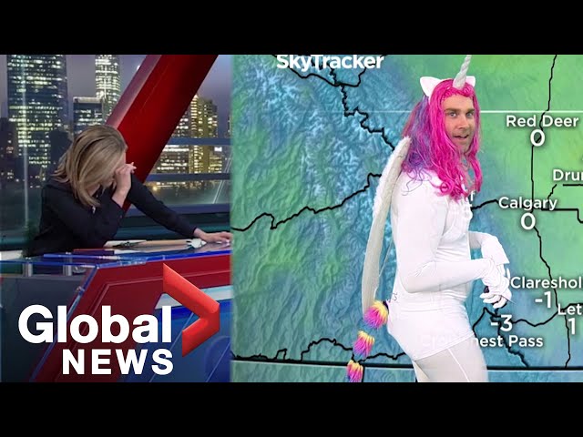 Halloween: News anchors in tears as meteorologist shows up in mystical unicorn costume