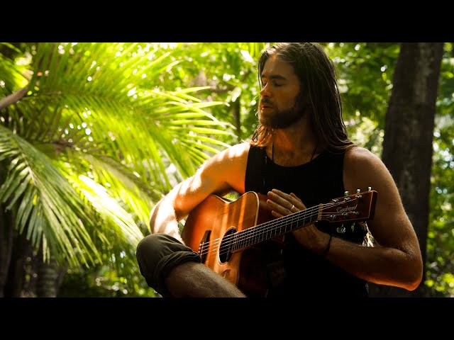 Movement - James R. Thomas (Official Music Video - A Journey into the Daintree Rainforest)
