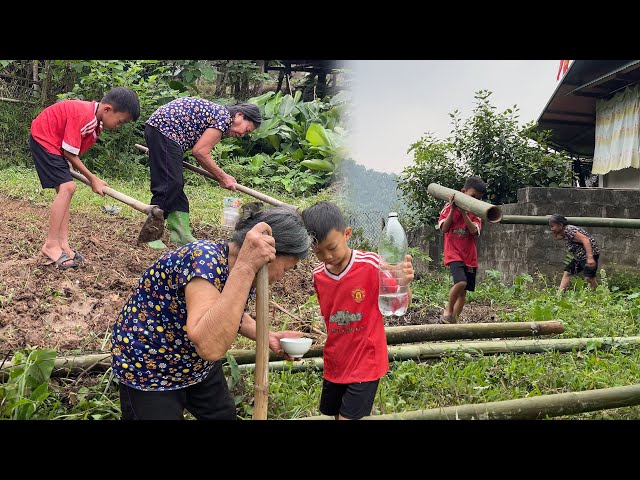 Poor boy - The two of them built the foundation, cut bamboo and built the house - Ep.1