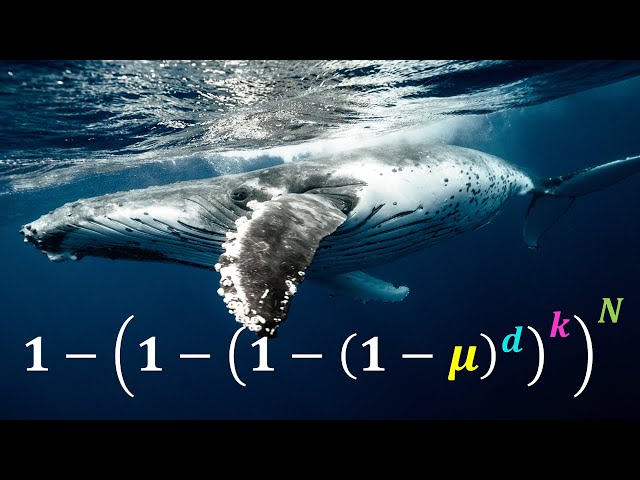 Why don't whales get more cancer? - Peto's Paradox