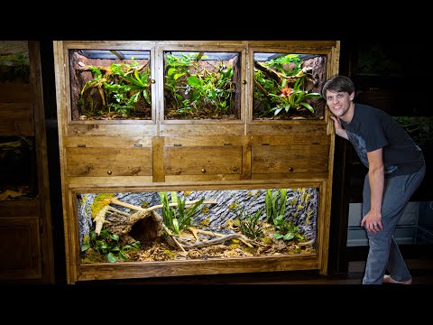 Easy DIY Plywood Reptile Enclosures