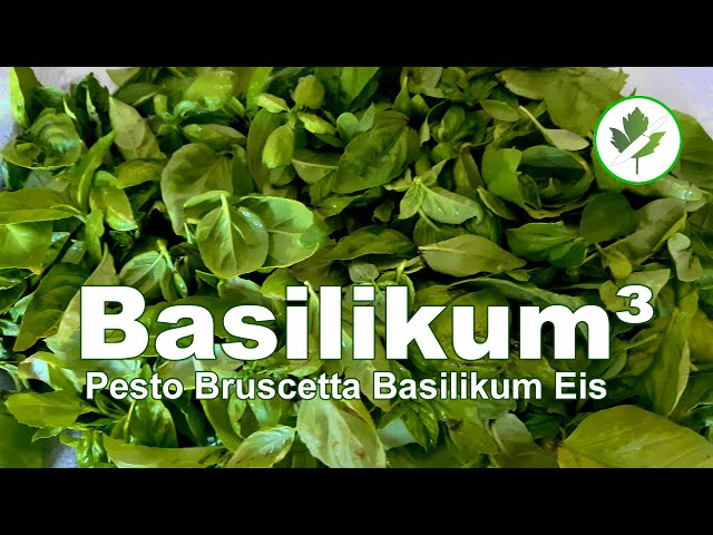 Basilikum³ - Pesto, Bruschetta, Basilikum-Eis