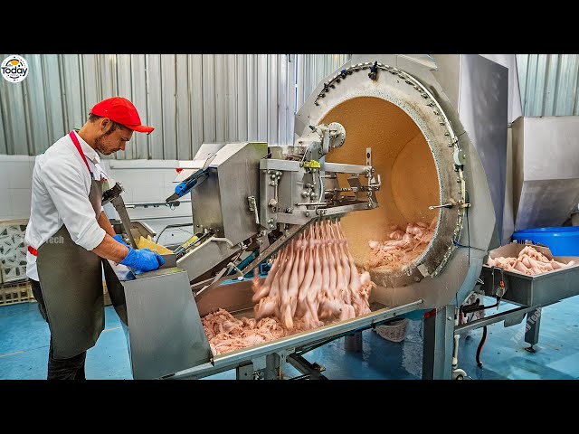 Satisfying Videos Modern Food Technology Processing Machines That At Another Level ▶26