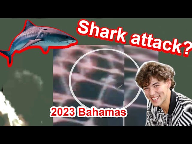 Update: Shark Attack in the Bahamas?Louisiana Teen Jumps Overboardon Dare, shark spotted?