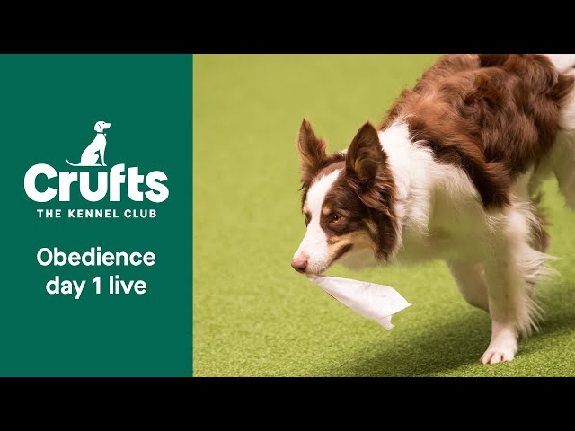 Crufts Obedience Live | Inter-Regional Rally & Obreedience | Crufts 2022