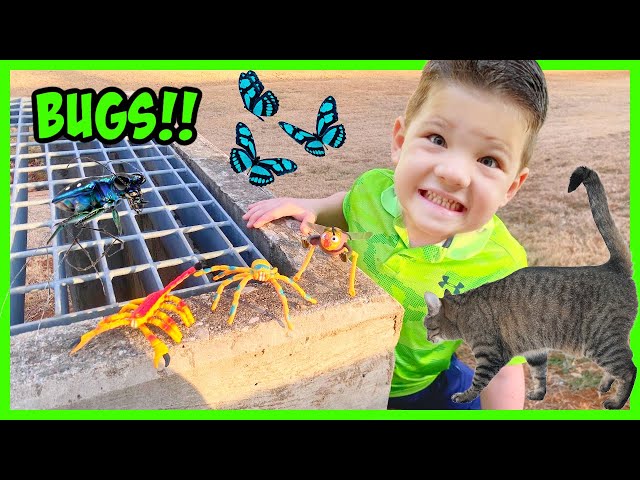 🕷CATCHING BUGS OUTSIDE! Caleb & Mommy GO on a BUG HUNT and Learn about Insects for kids!