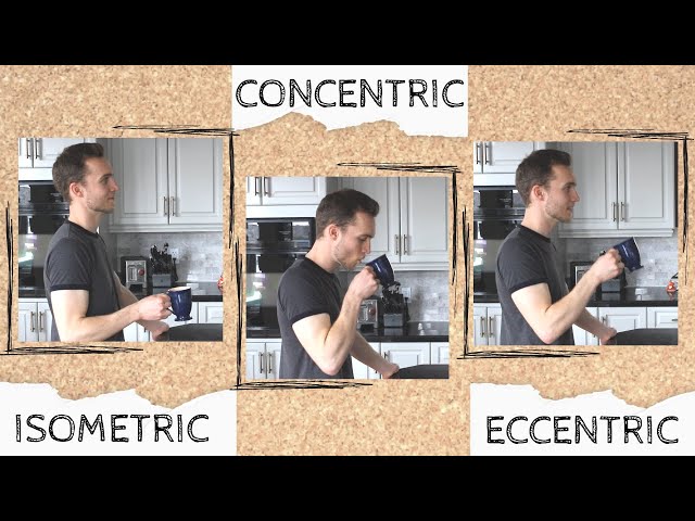 Isometric, Concentric, Eccentric | Types of Muscle Contraction Explained