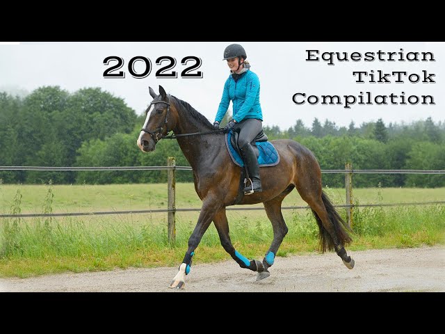 Equestrian Compilation | by Sarah & Horses